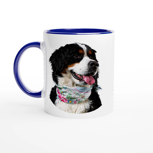 6f536a01-c7b4-4c83-b656-52f43e2be145