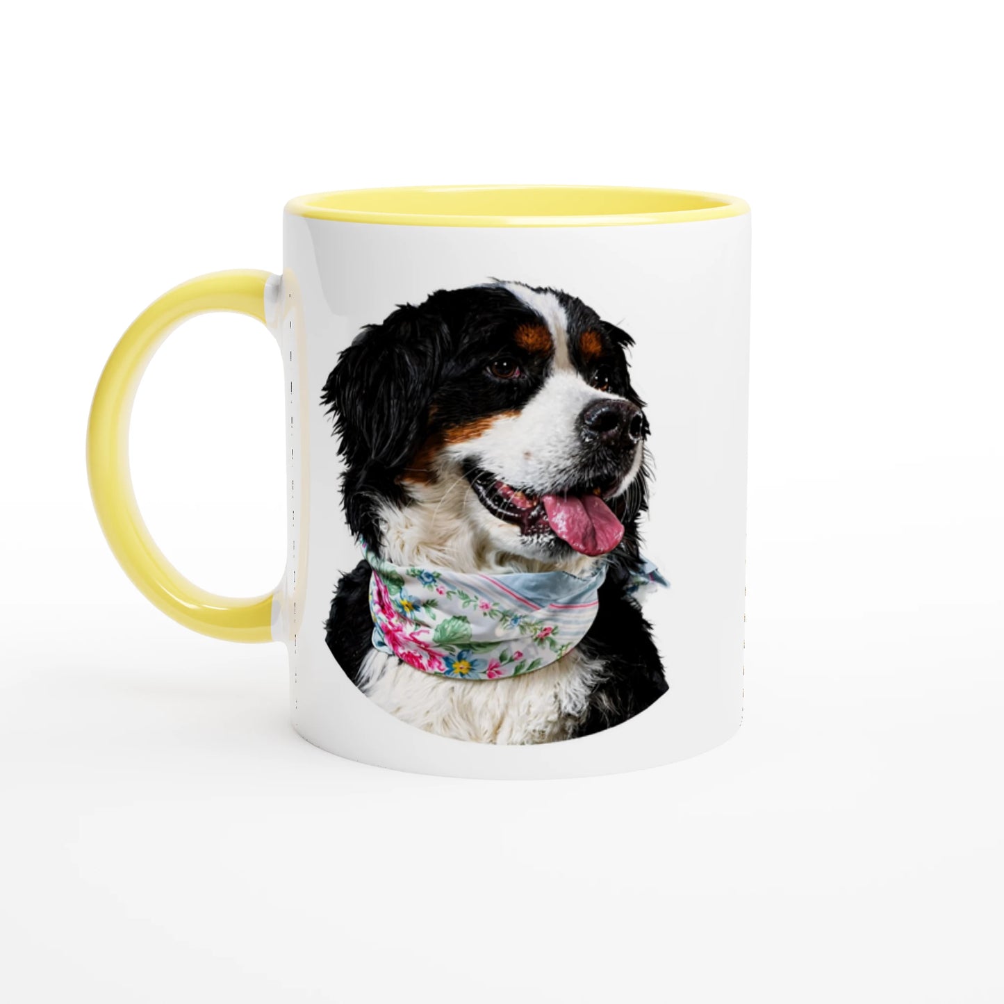 ba34dd7b-ecc5-4bbe-a87b-3a4b59893213