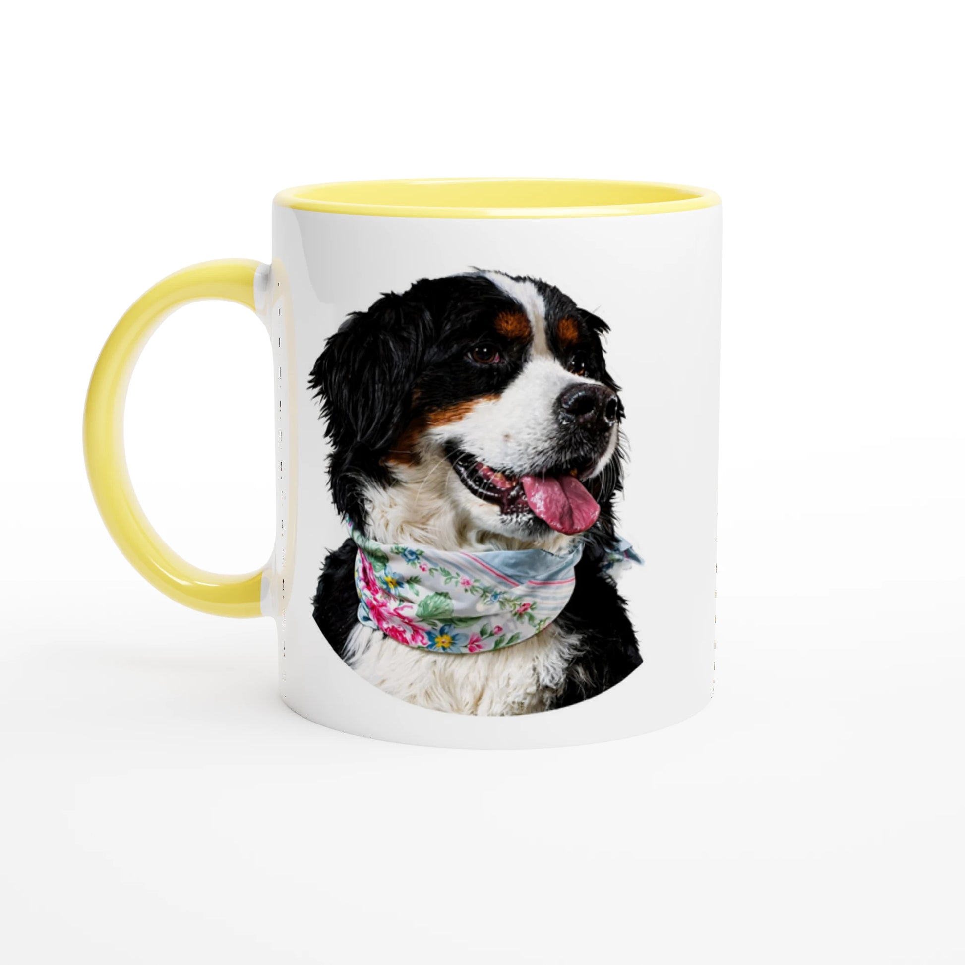 ba34dd7b-ecc5-4bbe-a87b-3a4b59893213