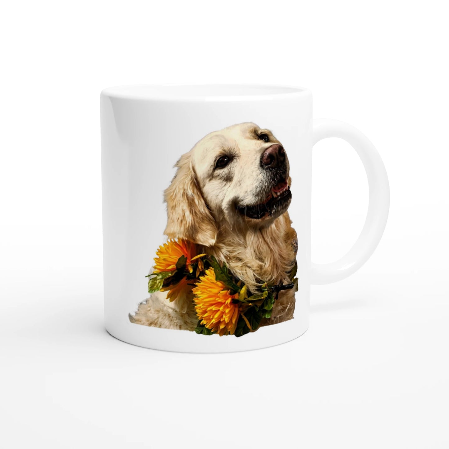 2e3fc8f6-c7d8-4a39-8ba4-d9998cfe4f45