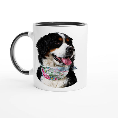 388f3572-0797-4fba-a635-71690554ad77