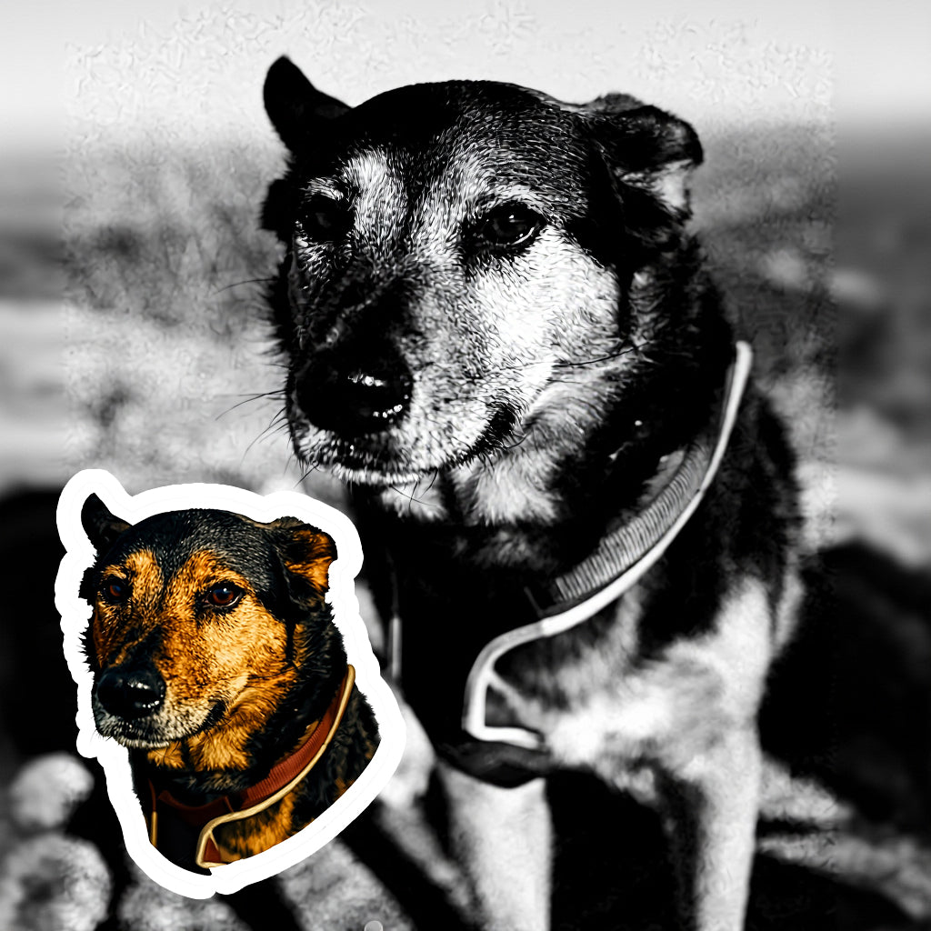 CUSTOM PET PORTRAIT STICKERS