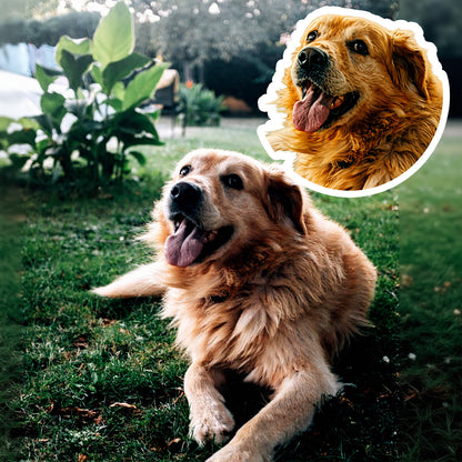 CUSTOM PET PORTRAIT STICKERS