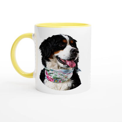 ba34dd7b-ecc5-4bbe-a87b-3a4b59893213